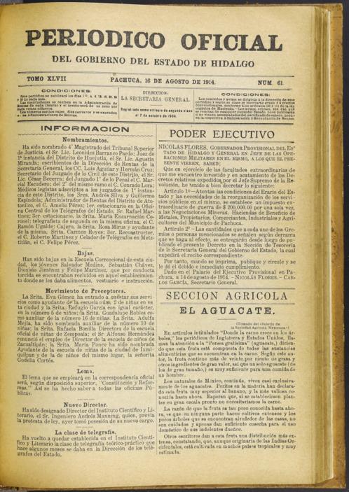 imagen miniatura de la página
