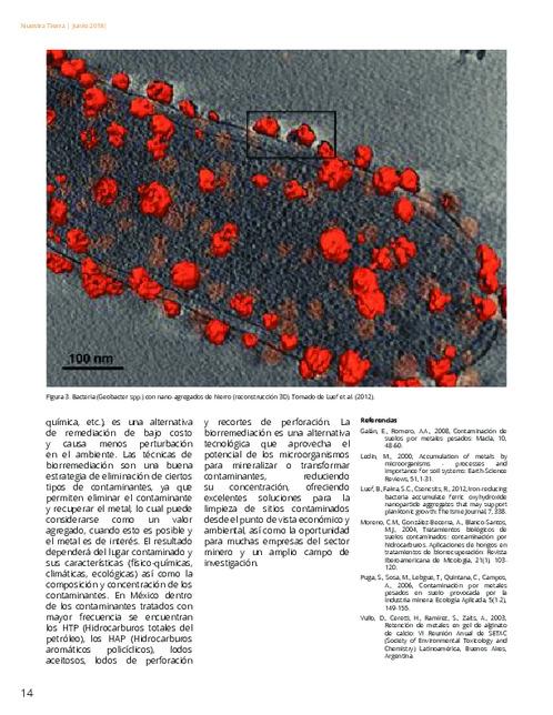 imagen miniatura de la página